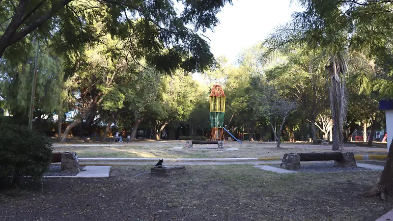251219_PARQUE ALCANFORES NORTE_HA